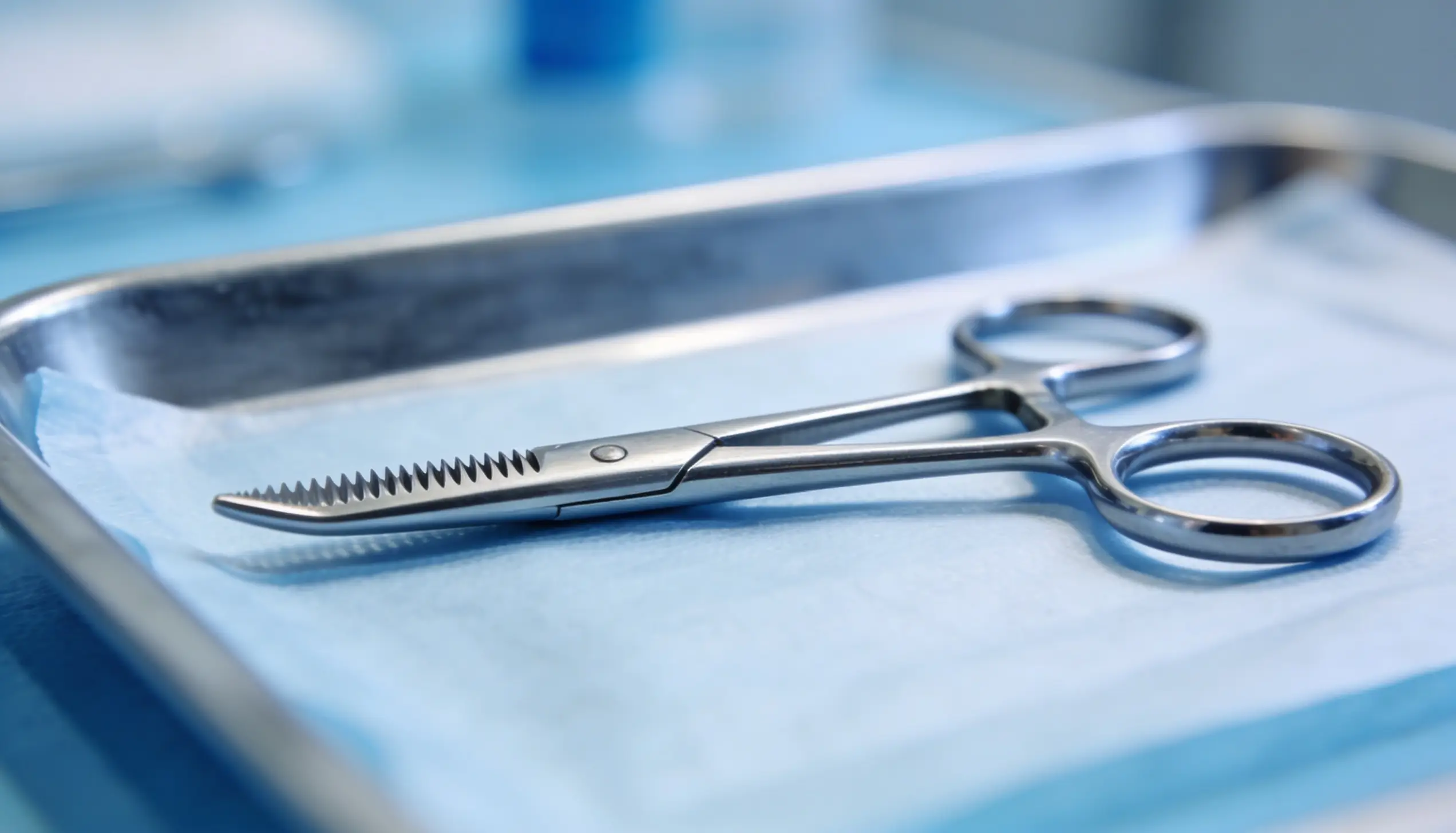 Mastering the Grip: Why Premium Surgical Forceps are the Backbone of Modern Clinical Precision