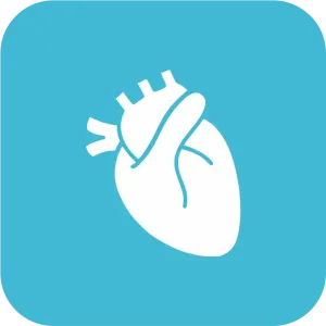 Cardiovascular And Vascular Instruments Manufacturers in India